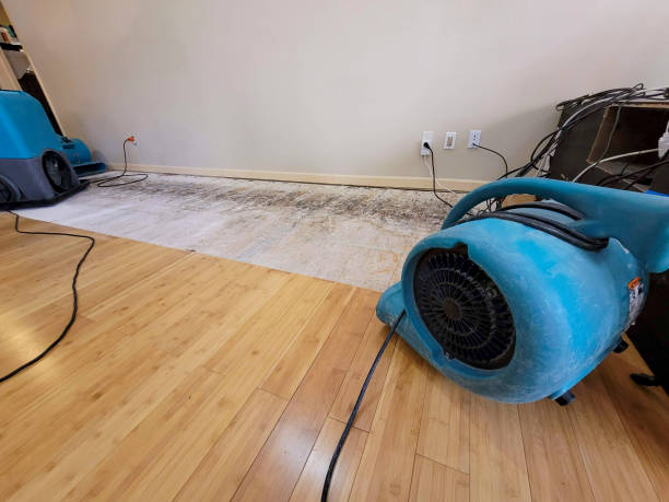 Professional Basement Flood Cleanup technician working in Silver Plume, CO